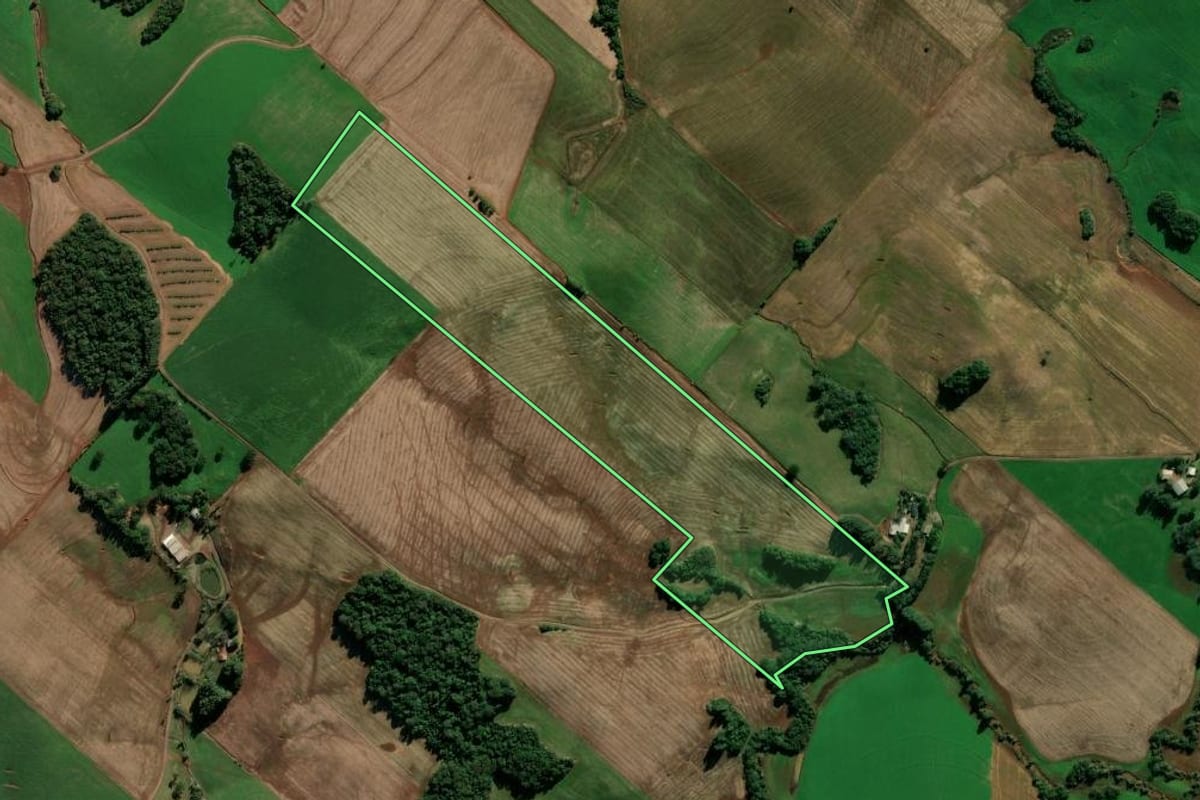 Imagem de satélite do imóvel rural em Ipiranga do Sul (RS), com o contorno declarado no CAR desenhado por cima.