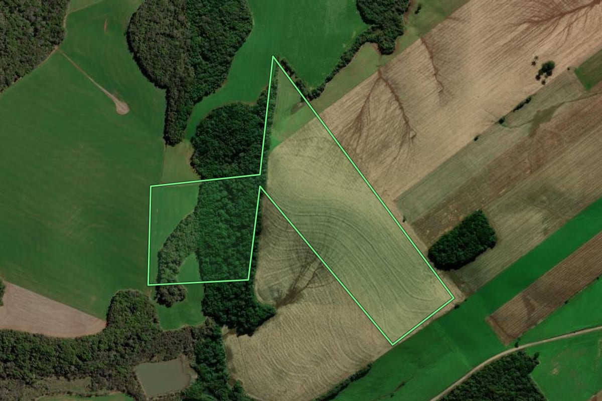 Imagem de satélite do imóvel rural em Ipiranga do Sul (RS), com o contorno declarado no CAR desenhado por cima.
