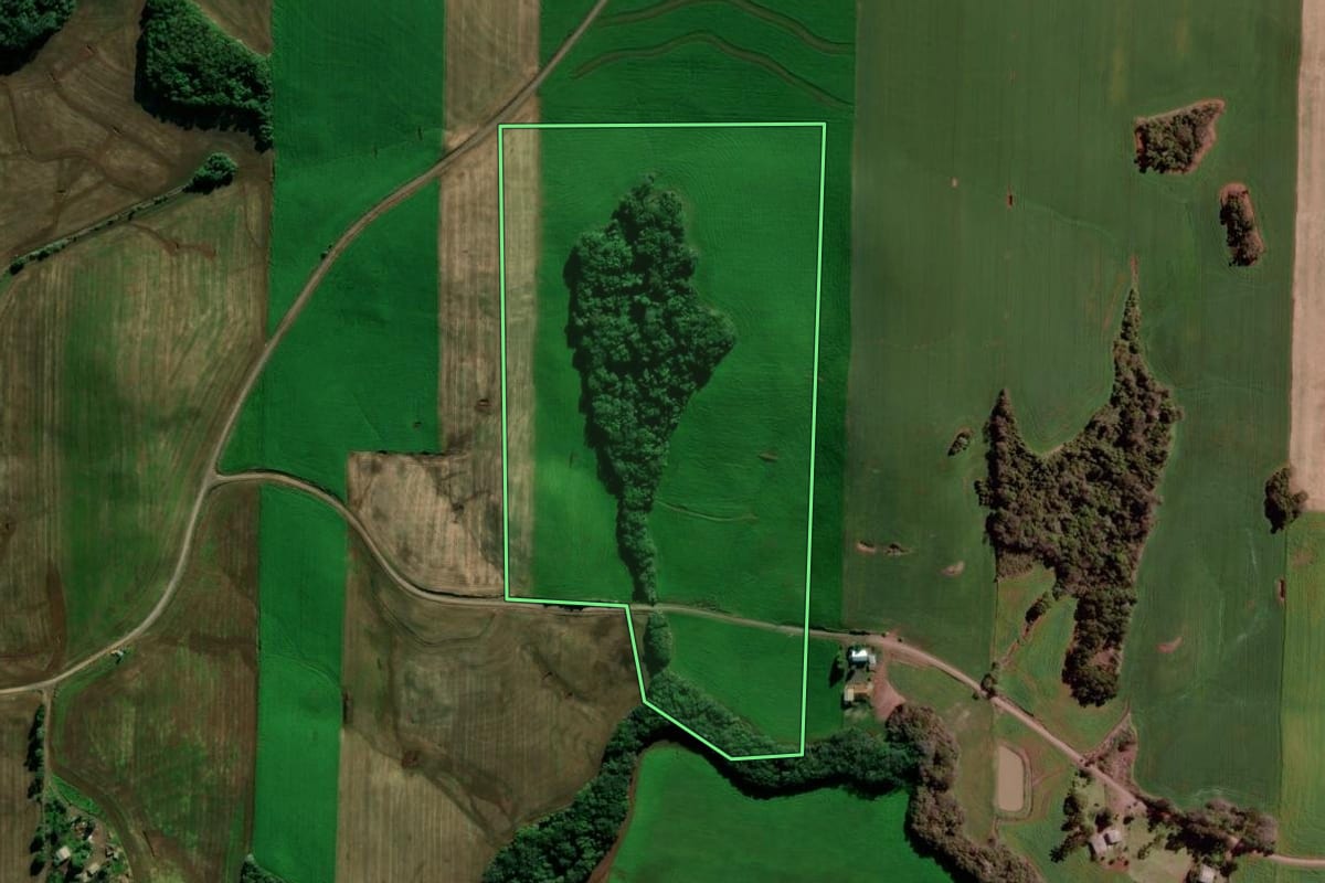 Imagem de satélite do imóvel rural em Ipiranga do Sul (RS), com o contorno declarado no CAR desenhado por cima.