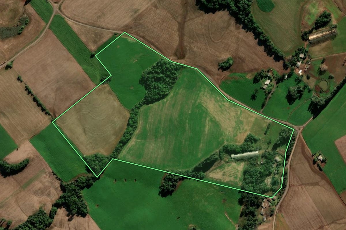 Imagem de satélite do imóvel rural em Ipiranga do Sul (RS), com o contorno declarado no CAR desenhado por cima.