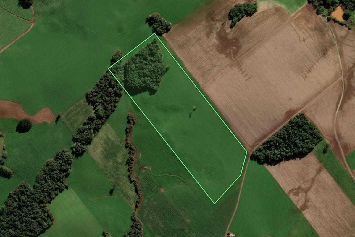 Imagem de satélite do imóvel rural em Ipiranga do Sul (RS), com o contorno declarado no CAR desenhado por cima.