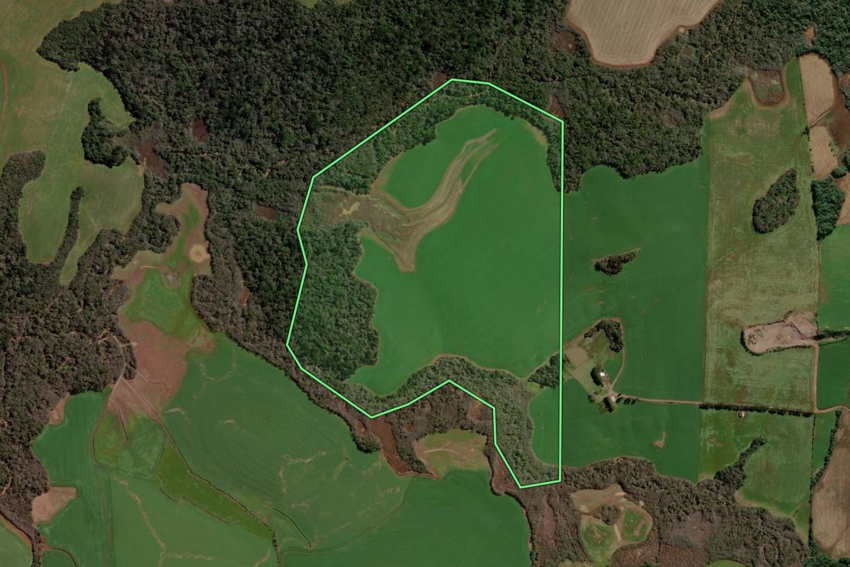 Imagem de satélite do imóvel rural em Ipiranga do Sul (RS), com o contorno declarado no CAR desenhado por cima.