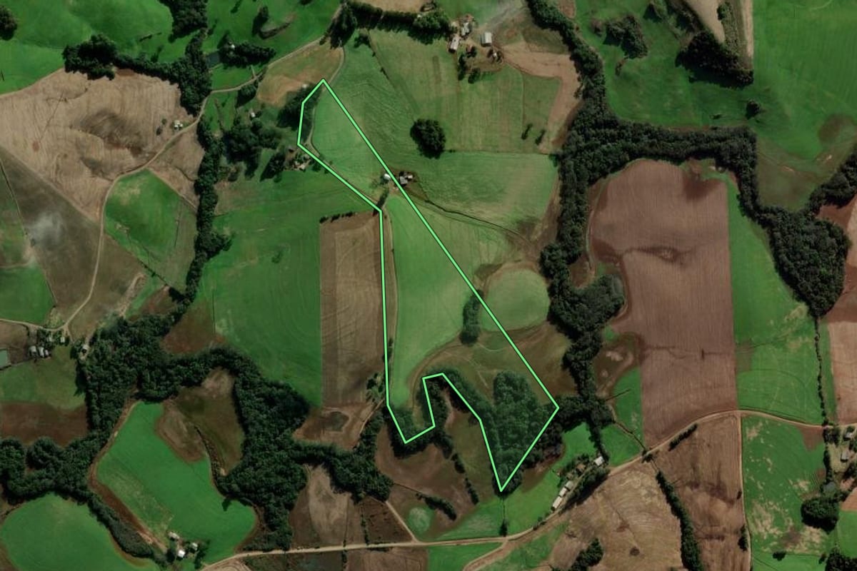 Imagem de satélite do imóvel rural em Ipiranga do Sul (RS), com o contorno declarado no CAR desenhado por cima.