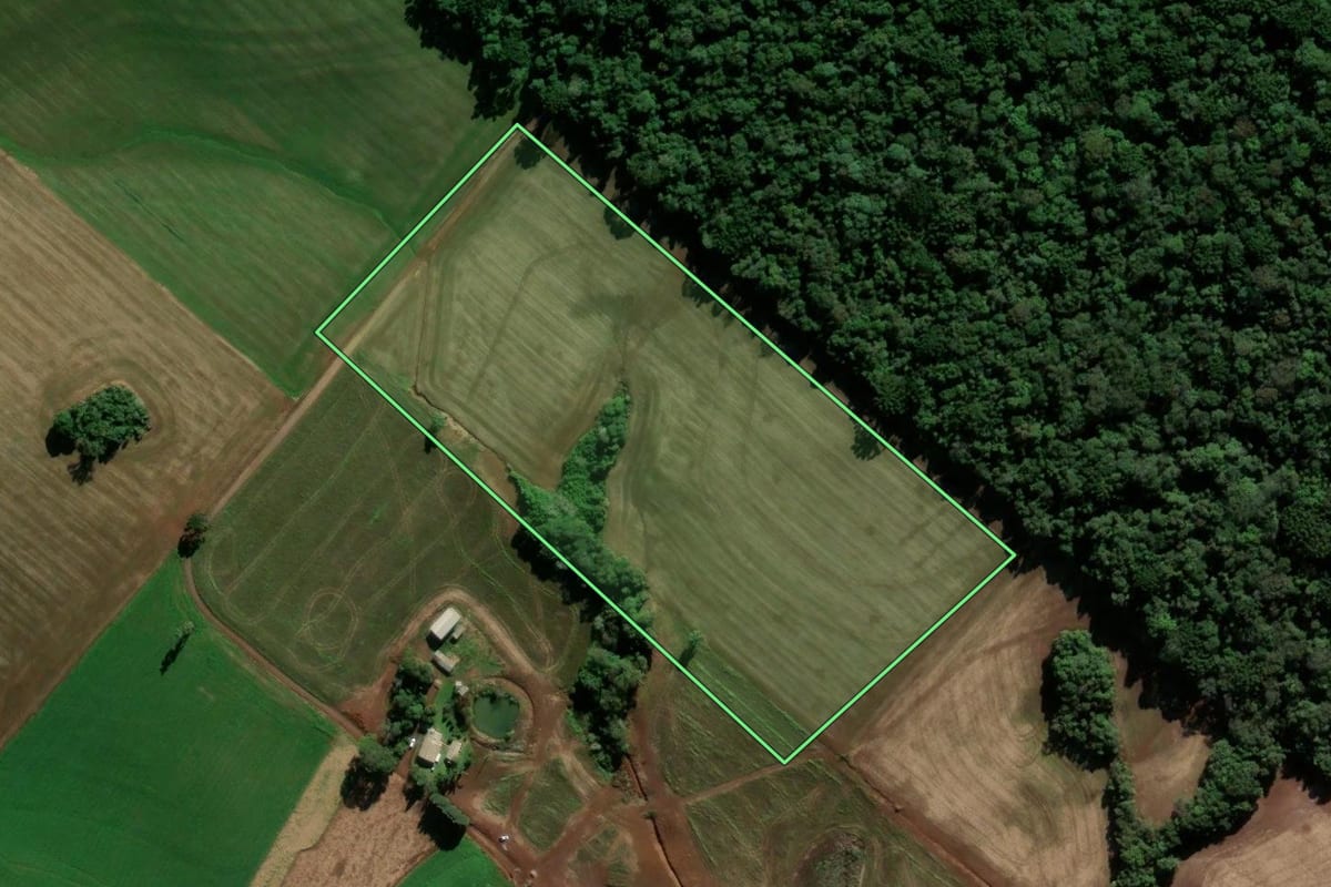 Imagem de satélite do imóvel rural em Ipiranga do Sul (RS), com o contorno declarado no CAR desenhado por cima.