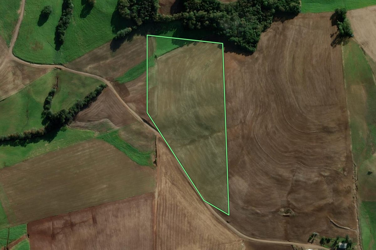 Imagem de satélite do imóvel rural em Ipiranga do Sul (RS), com o contorno declarado no CAR desenhado por cima.