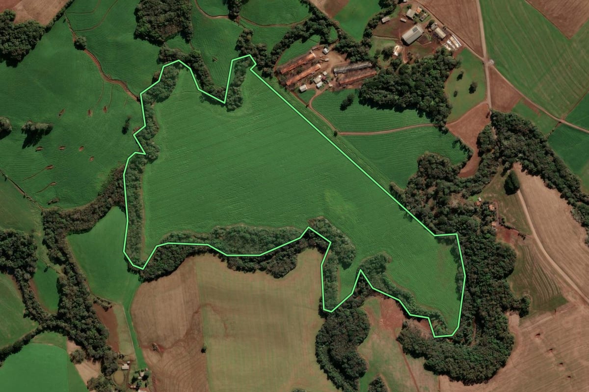 Imagem de satélite do imóvel rural em Ipiranga do Sul (RS), com o contorno declarado no CAR desenhado por cima.