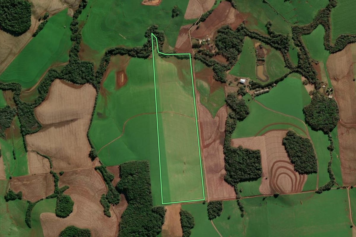 Imagem de satélite do imóvel rural em Ipiranga do Sul (RS), com o contorno declarado no CAR desenhado por cima.