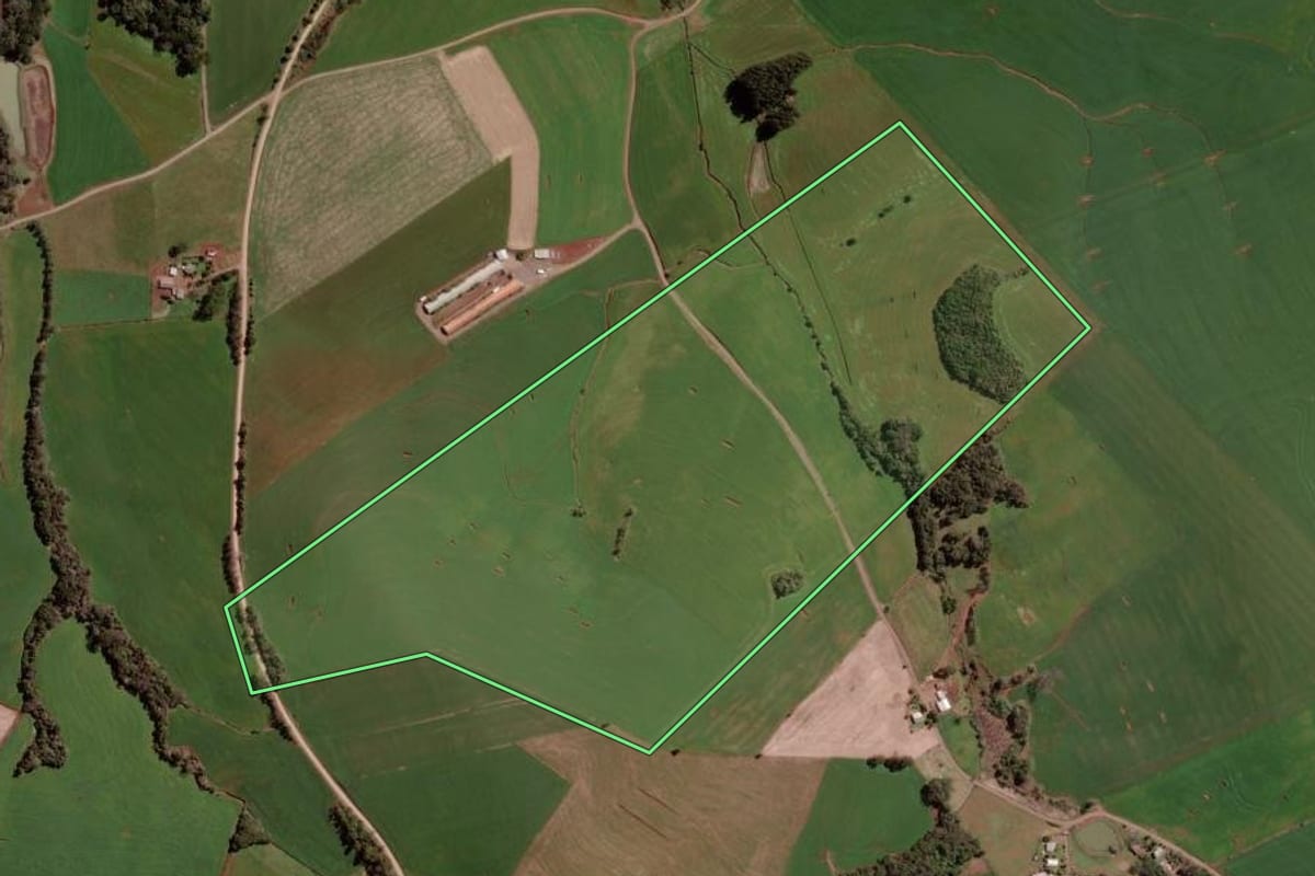 Imagem de satélite do imóvel rural em Ipiranga do Sul (RS), com o contorno declarado no CAR desenhado por cima.