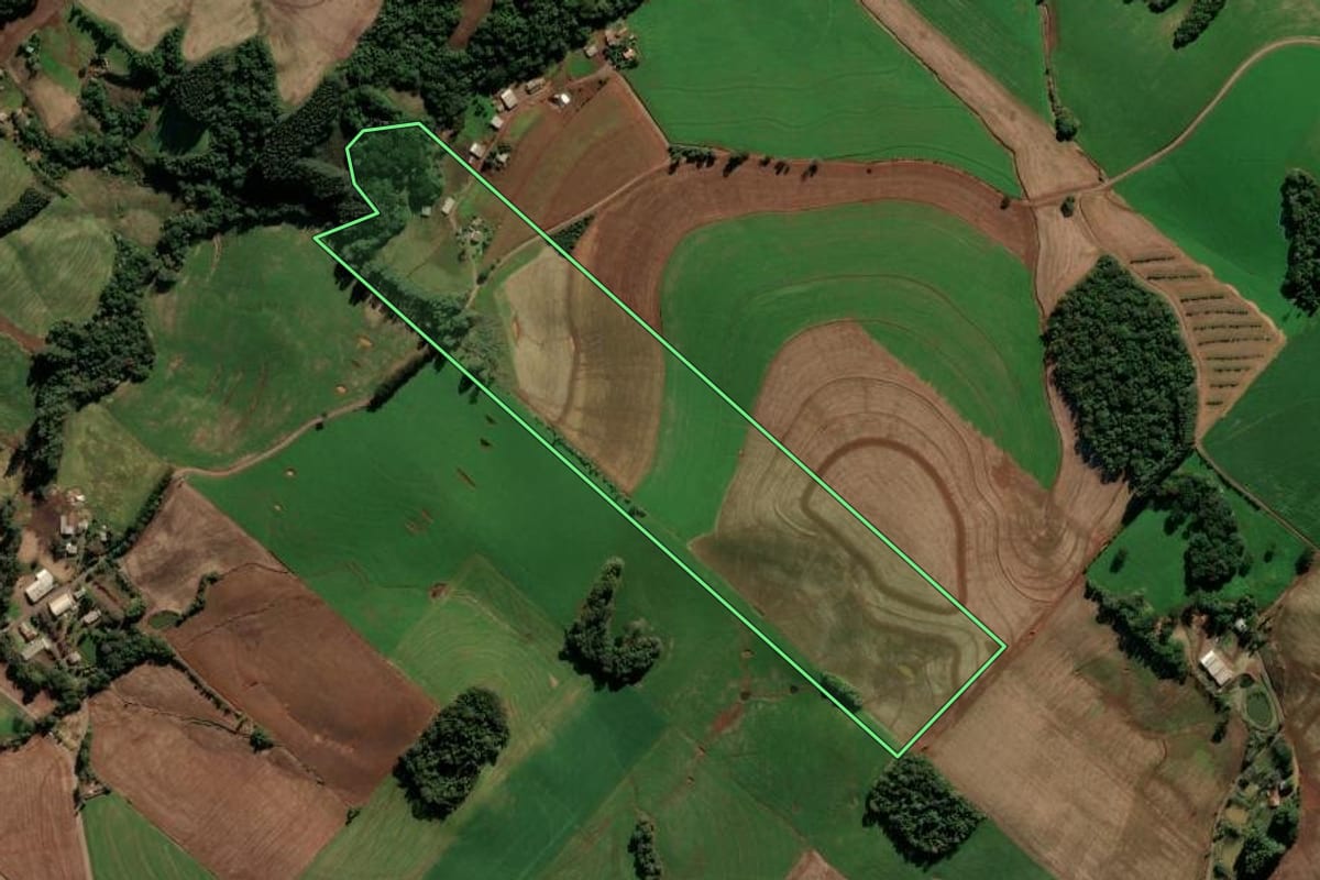 Imagem de satélite do imóvel rural em Ipiranga do Sul (RS), com o contorno declarado no CAR desenhado por cima.