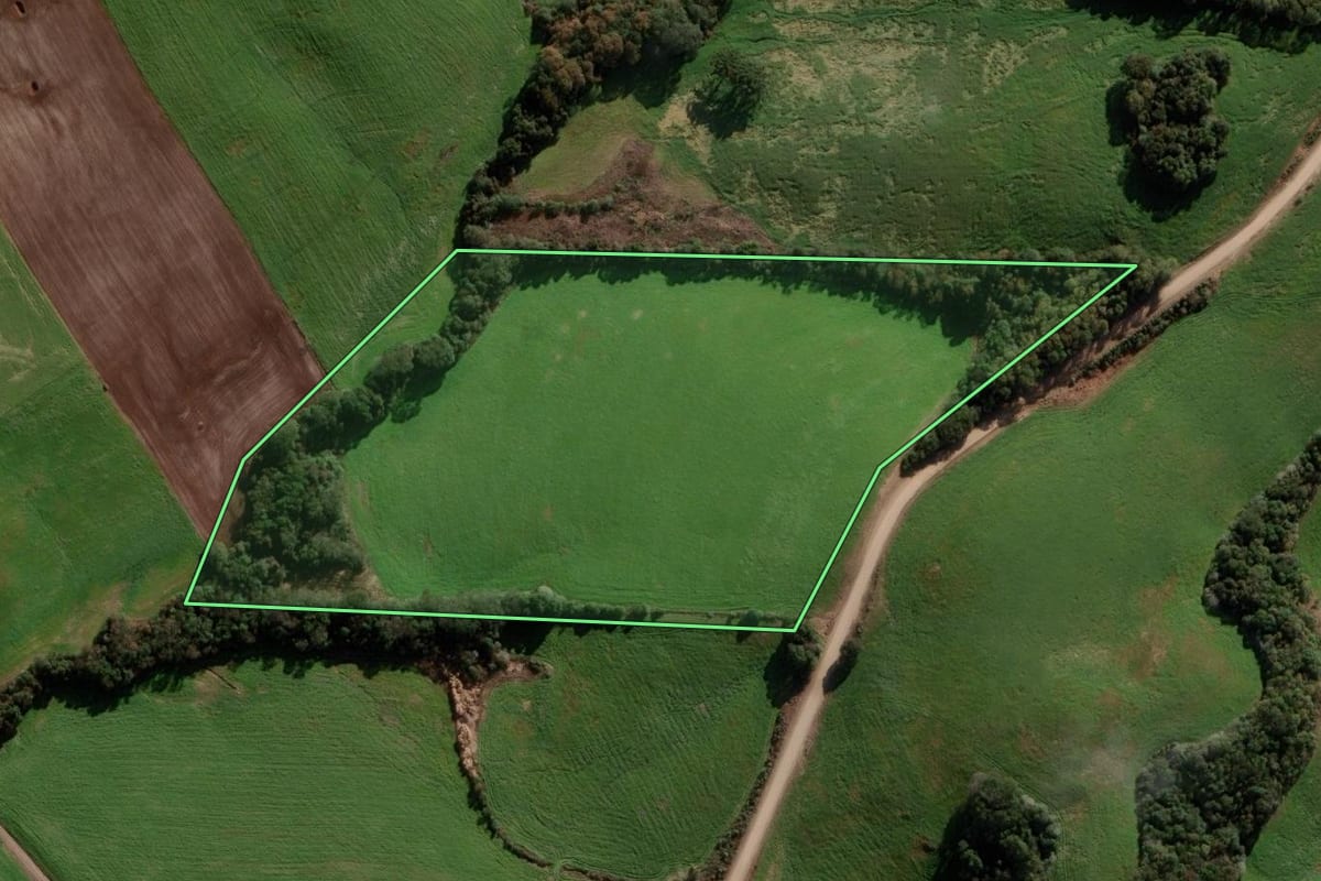 Imagem de satélite do imóvel rural em Ipiranga do Sul (RS), com o contorno declarado no CAR desenhado por cima.