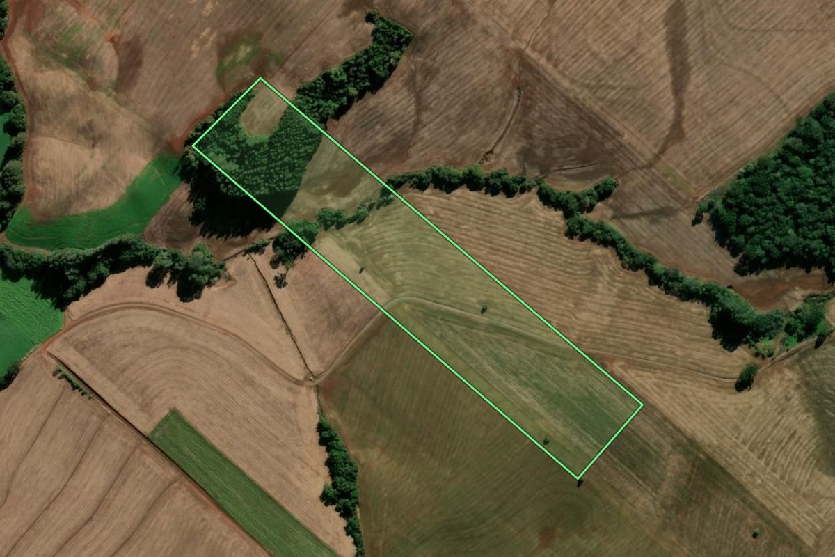 Imagem de satélite do imóvel rural em Ipiranga do Sul (RS), com o contorno declarado no CAR desenhado por cima.