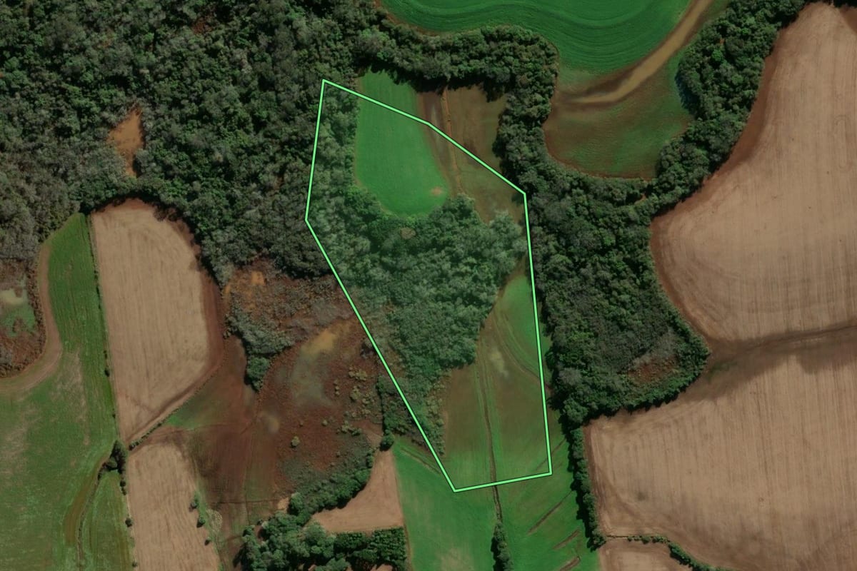 Imagem de satélite do imóvel rural em Ipiranga do Sul (RS), com o contorno declarado no CAR desenhado por cima.