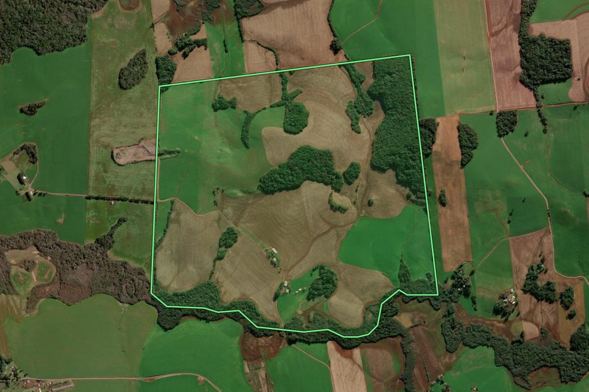 Imagem de satélite do imóvel rural em Ipiranga do Sul (RS), com o contorno declarado no CAR desenhado por cima.