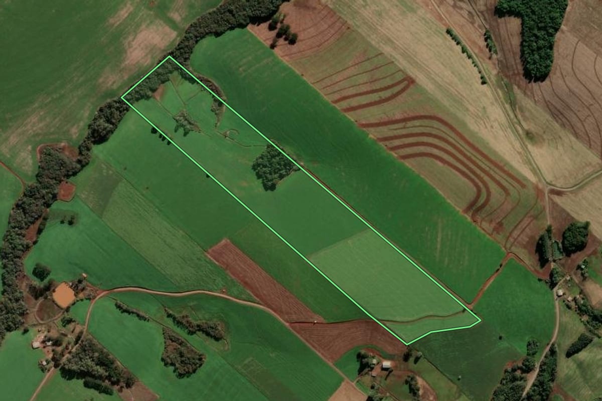 Imagem de satélite do imóvel rural em Ipiranga do Sul (RS), com o contorno declarado no CAR desenhado por cima.