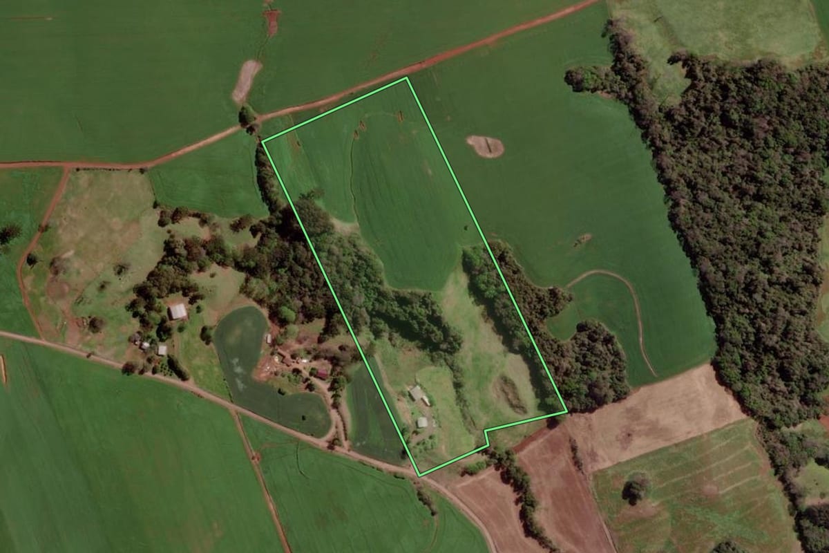 Imagem de satélite do imóvel rural em Ipiranga do Sul (RS), com o contorno declarado no CAR desenhado por cima.
