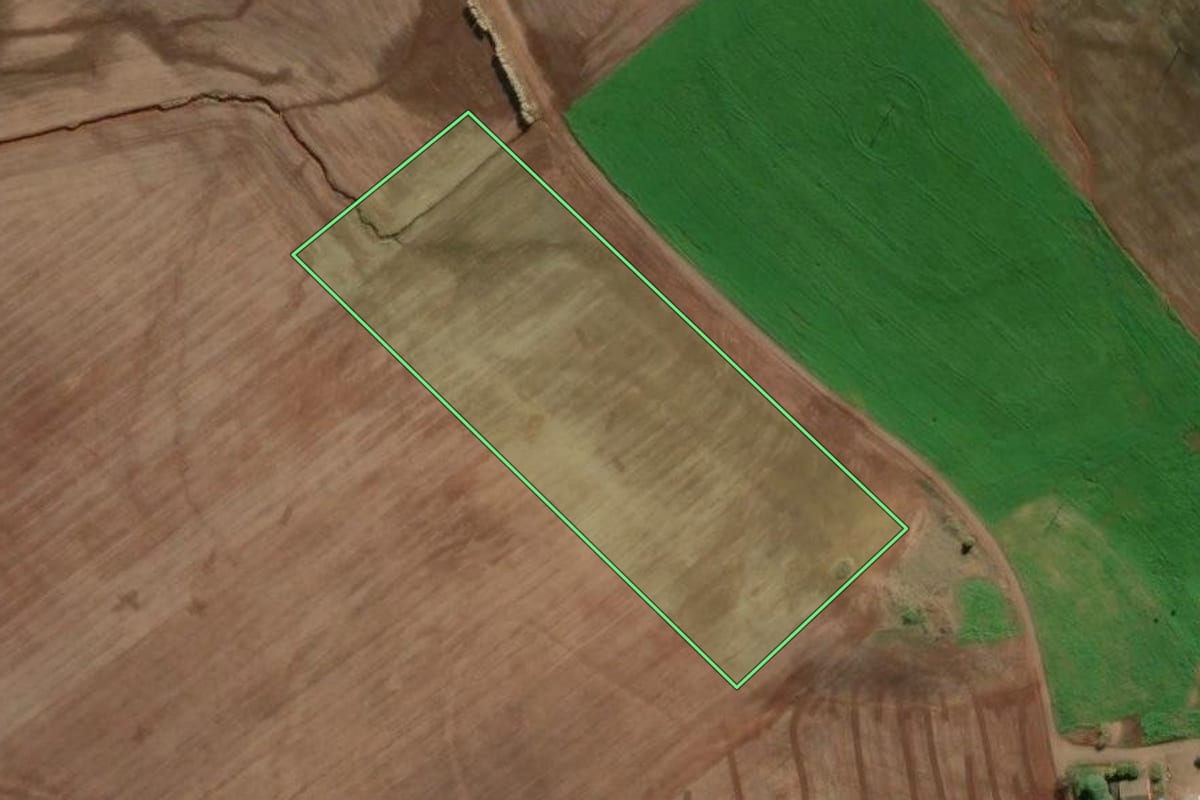 Imagem de satélite do imóvel rural em Ipiranga do Sul (RS), com o contorno declarado no CAR desenhado por cima.