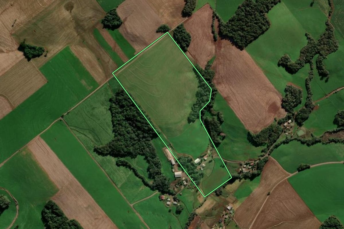 Imagem de satélite do imóvel rural em Ipiranga do Sul (RS), com o contorno declarado no CAR desenhado por cima.