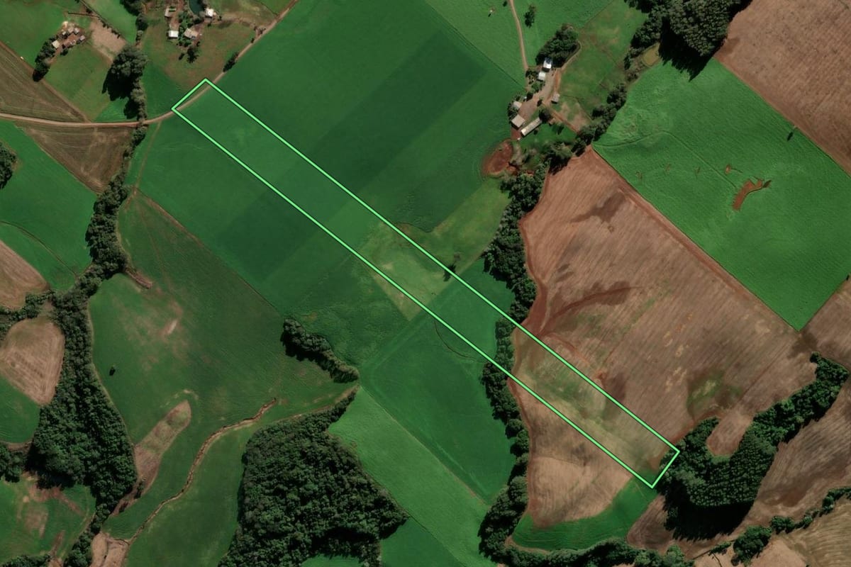 Imagem de satélite do imóvel rural em Ipiranga do Sul (RS), com o contorno declarado no CAR desenhado por cima.