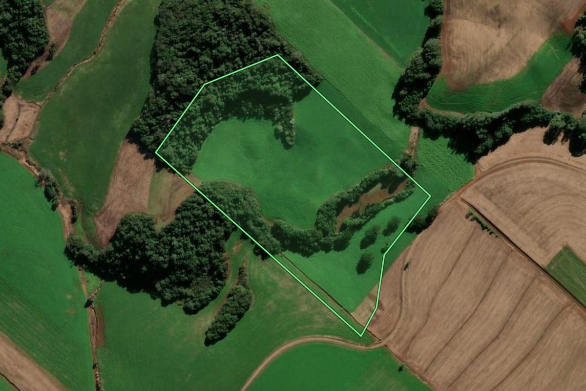Imagem de satélite do imóvel rural em Ipiranga do Sul (RS), com o contorno declarado no CAR desenhado por cima.