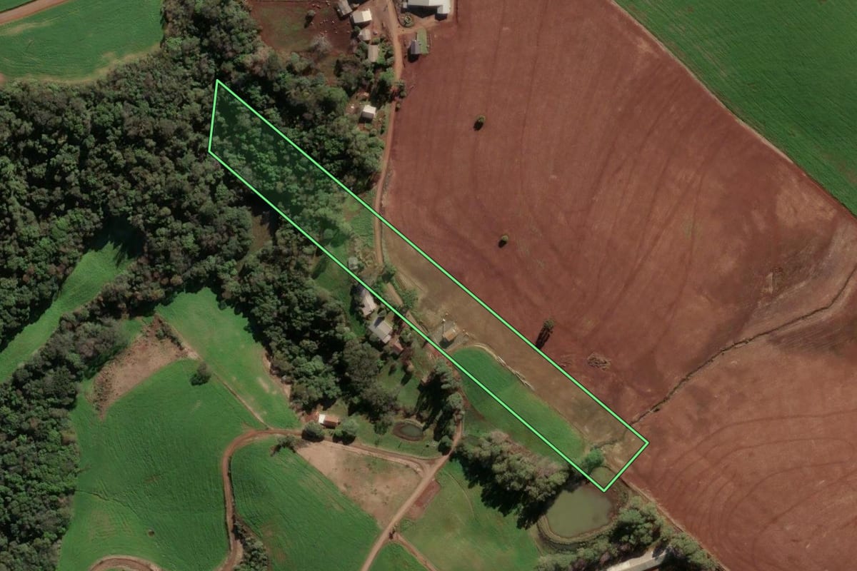 Imagem de satélite do imóvel rural em Ipiranga do Sul (RS), com o contorno declarado no CAR desenhado por cima.