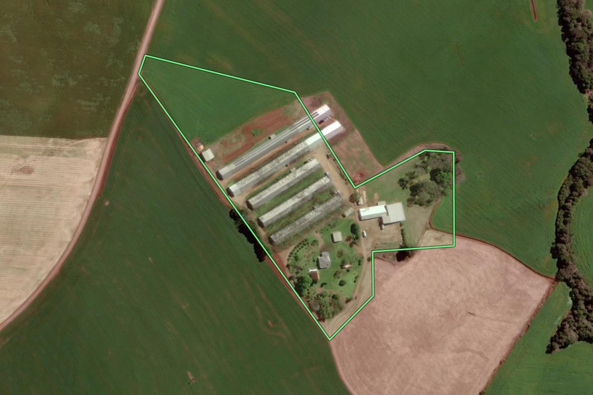 Imagem de satélite do imóvel rural em Ipiranga do Sul (RS), com o contorno declarado no CAR desenhado por cima.