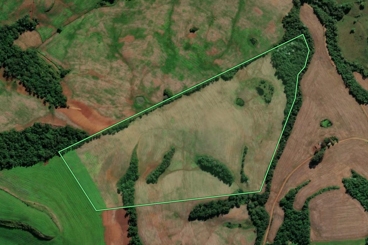 Imagem de satélite do imóvel rural em Iraí (RS), com o contorno declarado no CAR desenhado por cima.