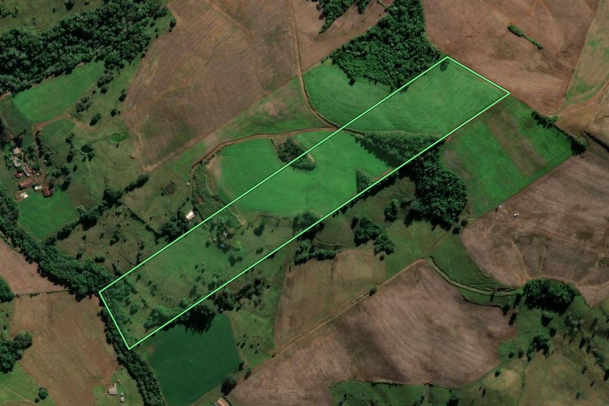 Imagem de satélite do imóvel rural em Iraí (RS), com o contorno declarado no CAR desenhado por cima.