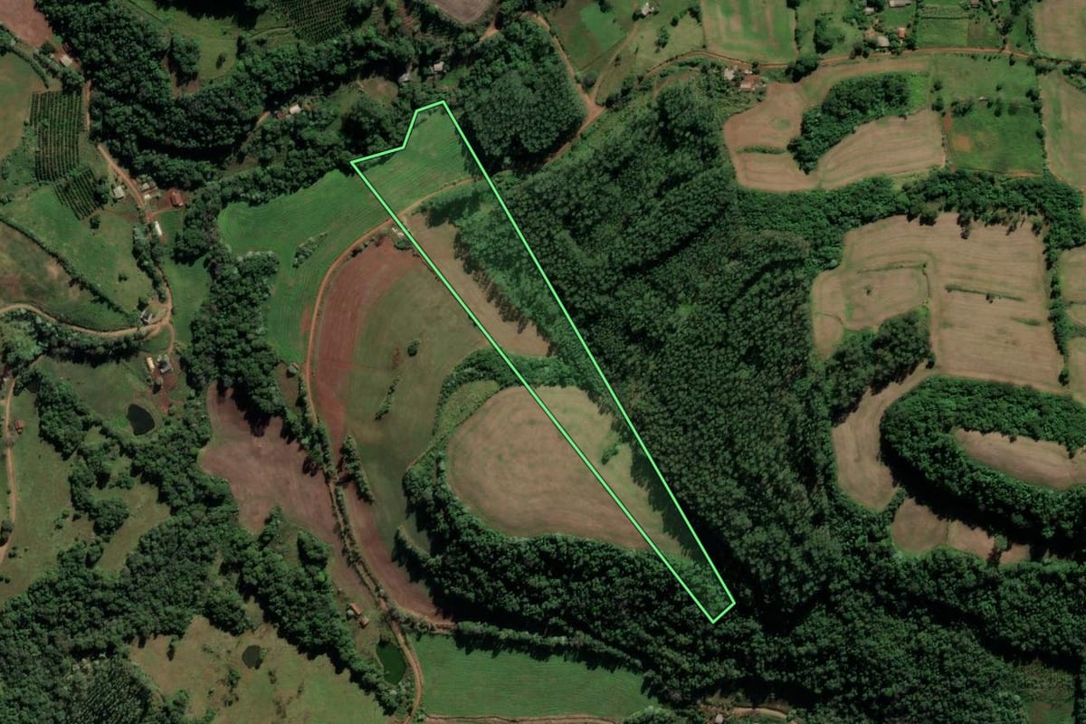Imagem de satélite do imóvel rural em Iraí (RS), com o contorno declarado no CAR desenhado por cima.
