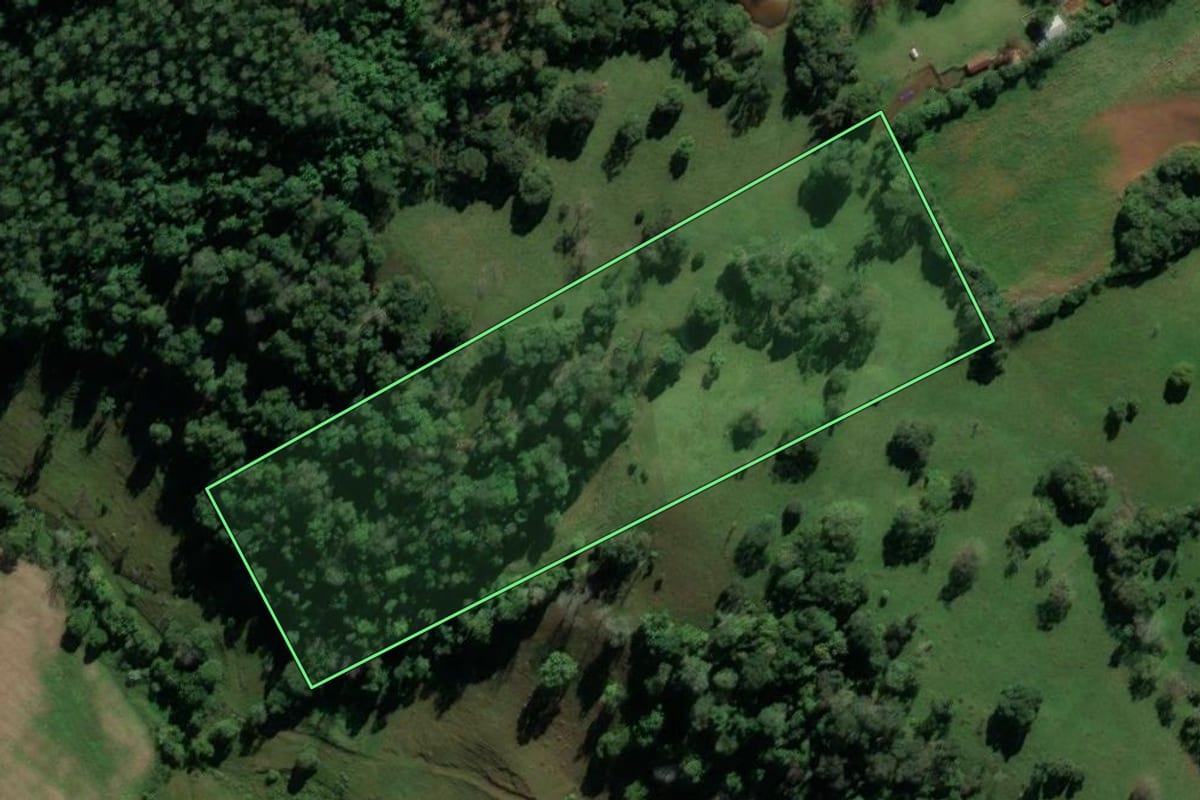 Imagem de satélite do imóvel rural em Iraí (RS), com o contorno declarado no CAR desenhado por cima.