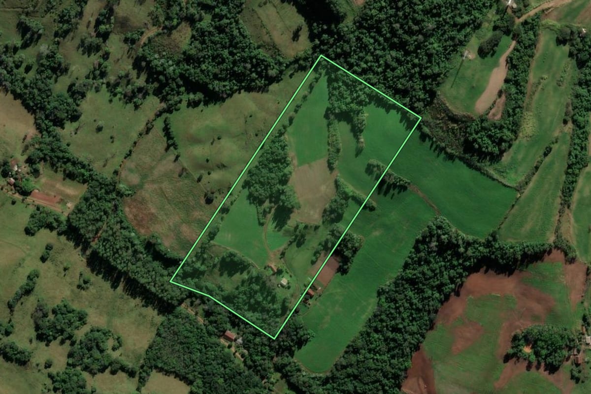 Imagem de satélite do imóvel rural em Iraí (RS), com o contorno declarado no CAR desenhado por cima.