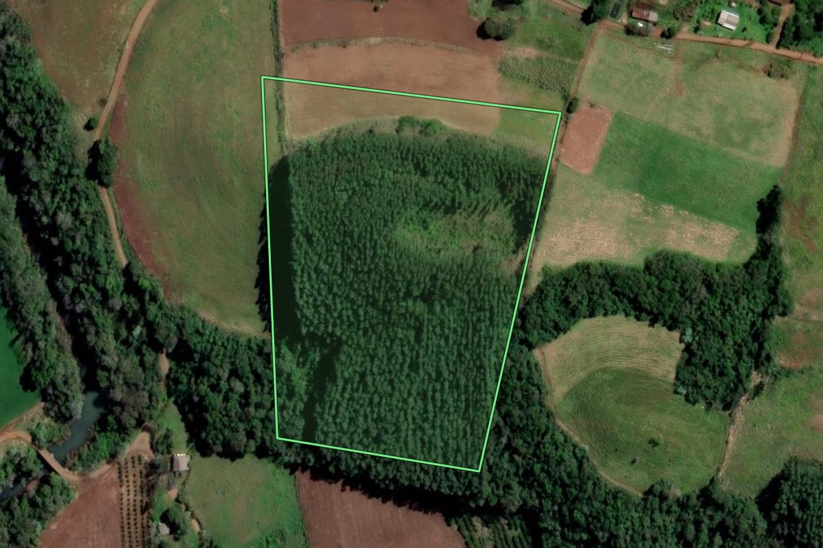 Imagem de satélite do imóvel rural em Iraí (RS), com o contorno declarado no CAR desenhado por cima.