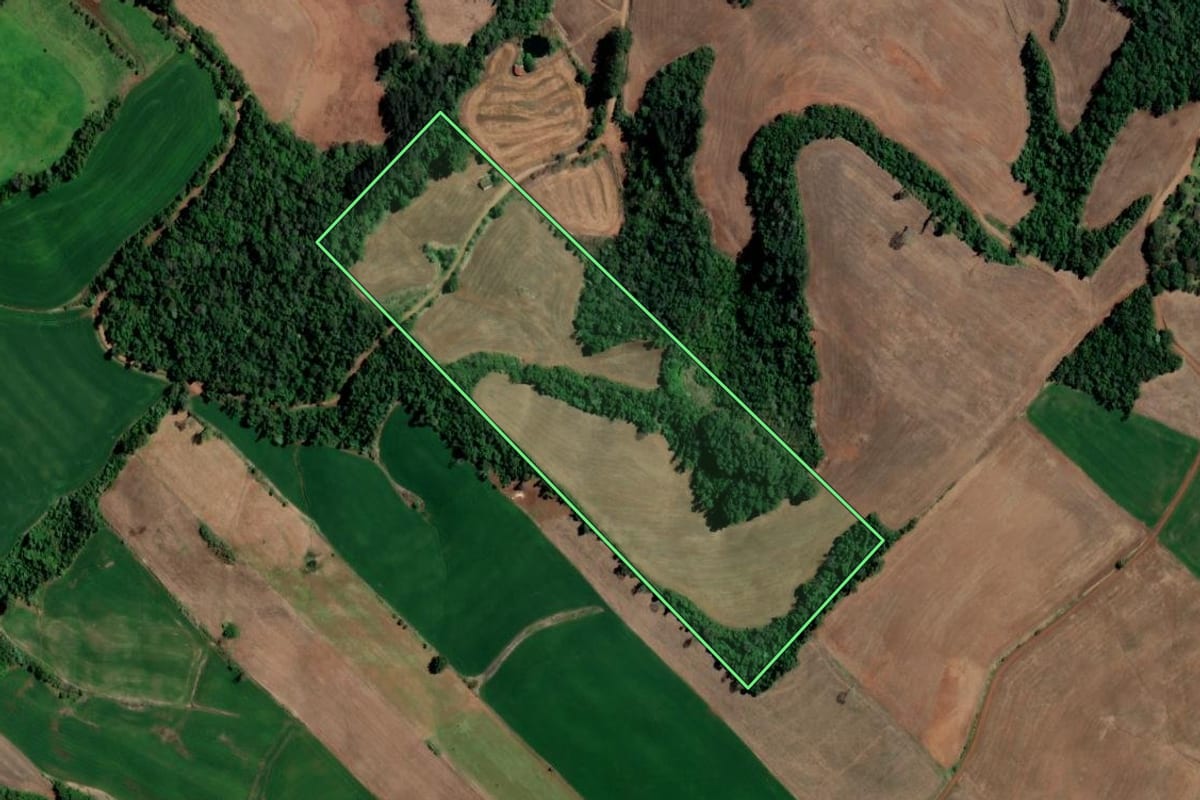 Imagem de satélite do imóvel rural em Iraí (RS), com o contorno declarado no CAR desenhado por cima.