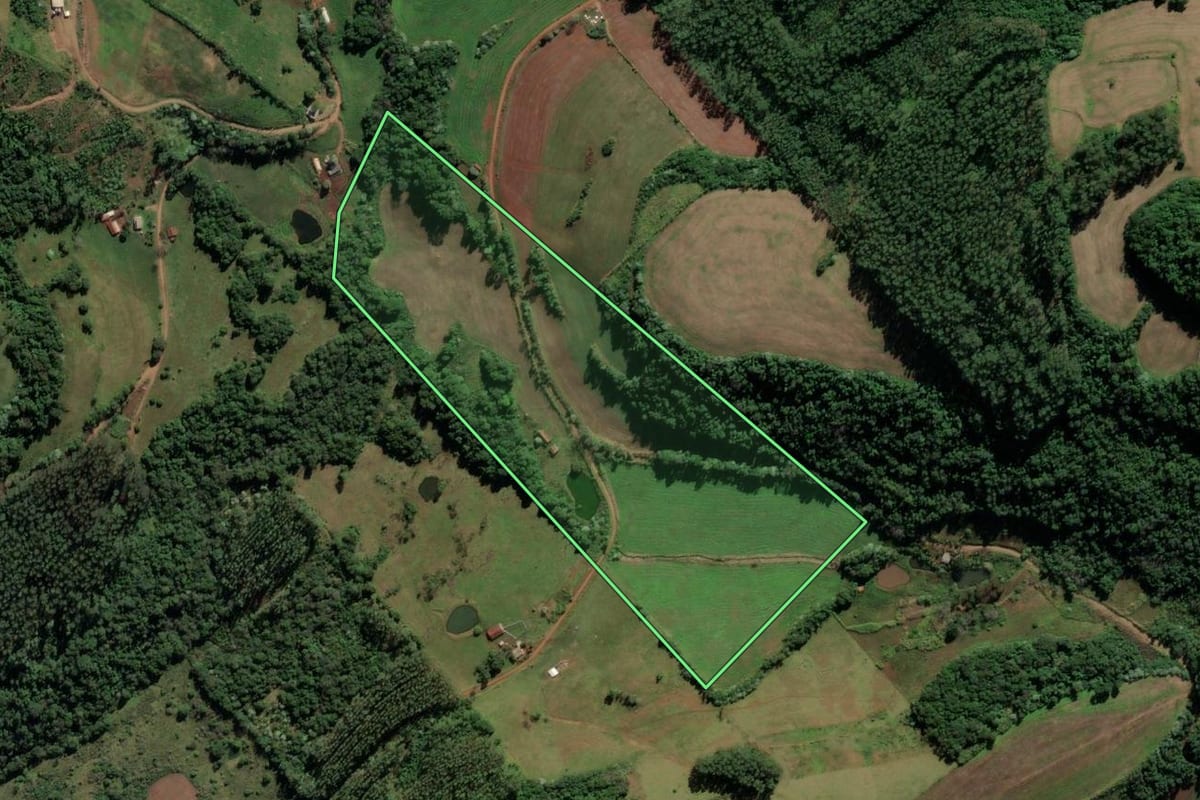 Imagem de satélite do imóvel rural em Iraí (RS), com o contorno declarado no CAR desenhado por cima.