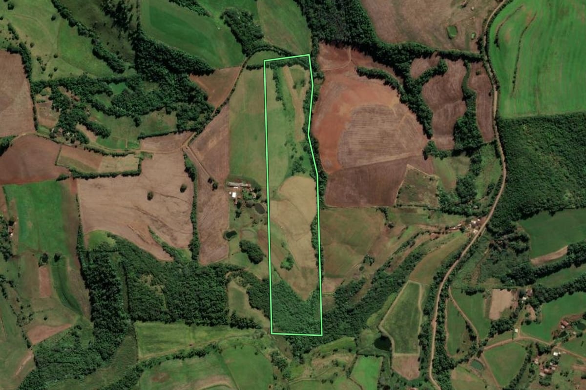 Imagem de satélite do imóvel rural em Iraí (RS), com o contorno declarado no CAR desenhado por cima.