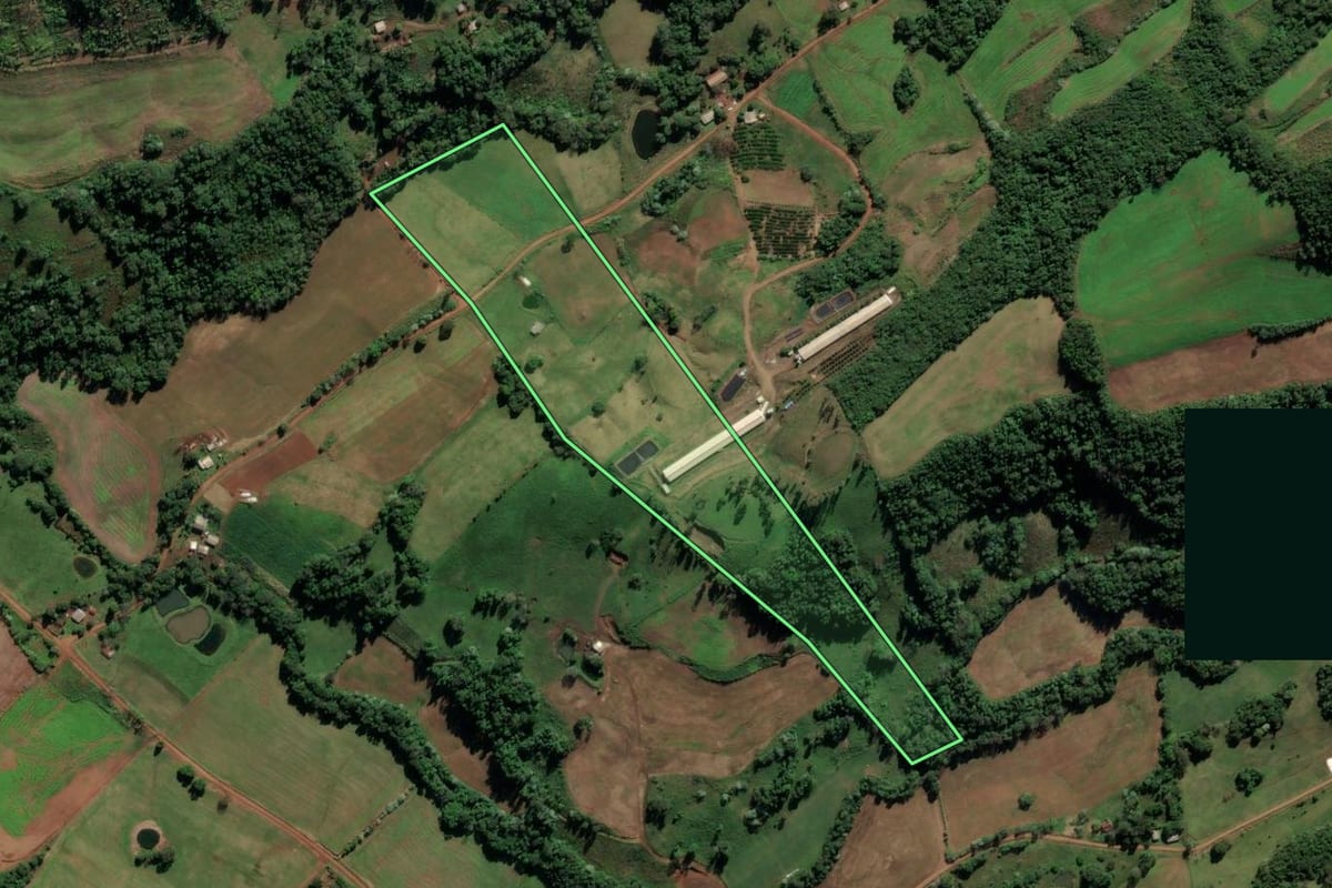 Imagem de satélite do imóvel rural em Iraí (RS), com o contorno declarado no CAR desenhado por cima.