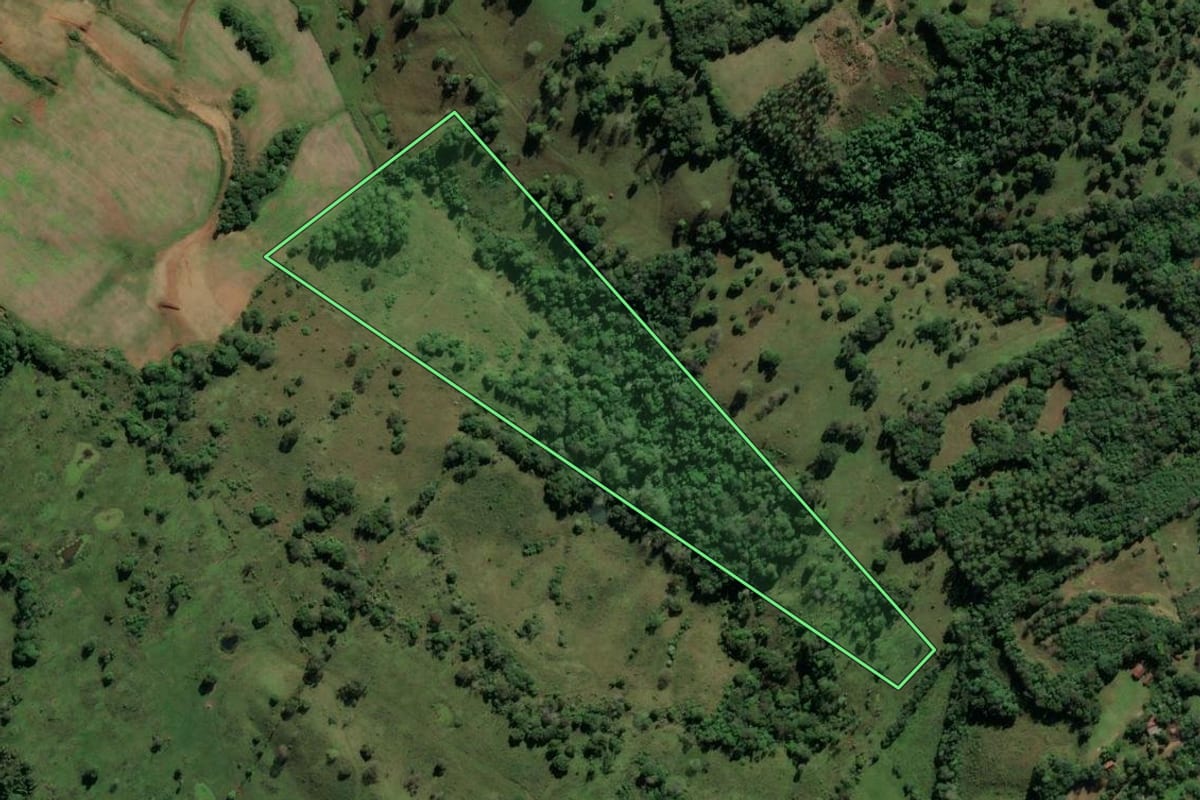 Imagem de satélite do imóvel rural em Iraí (RS), com o contorno declarado no CAR desenhado por cima.