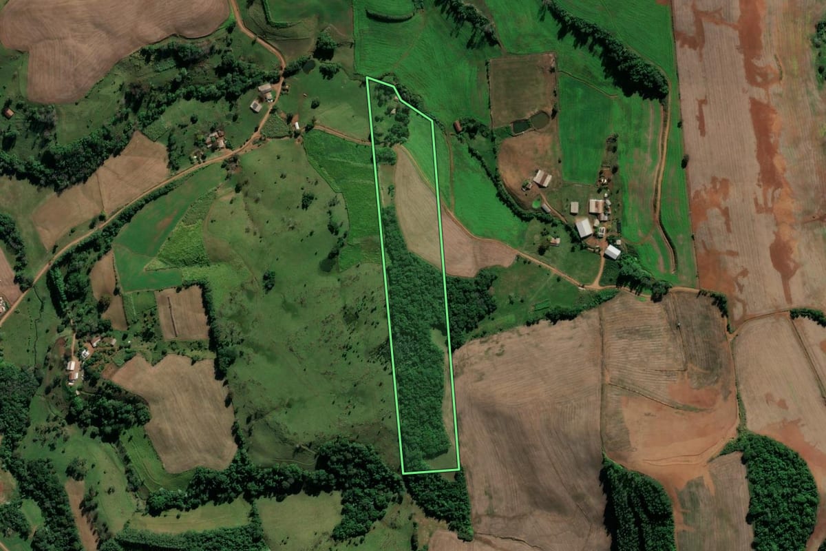 Imagem de satélite do imóvel rural em Iraí (RS), com o contorno declarado no CAR desenhado por cima.