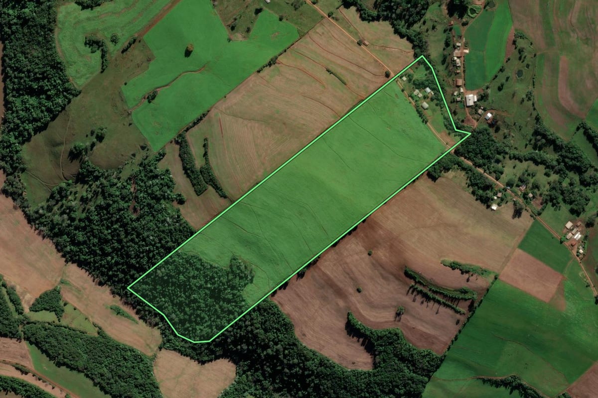 Imagem de satélite do imóvel rural em Iraí (RS), com o contorno declarado no CAR desenhado por cima.