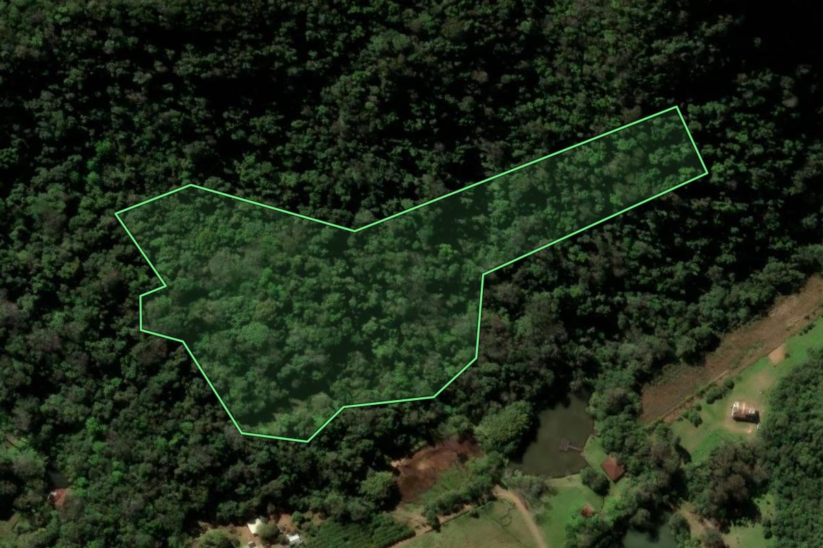 Imagem de satélite do imóvel rural em Itaara (RS), com o contorno declarado no CAR desenhado por cima.