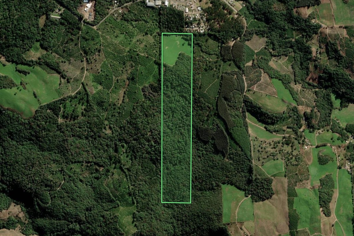 Imagem de satélite do imóvel rural em Itapuca (RS), com o contorno declarado no CAR desenhado por cima.