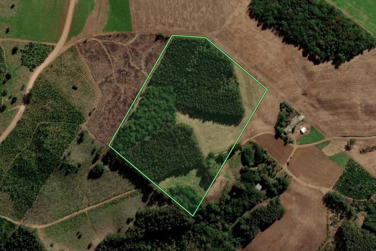 Imagem de satélite do imóvel rural em Itapuca (RS), com o contorno declarado no CAR desenhado por cima.