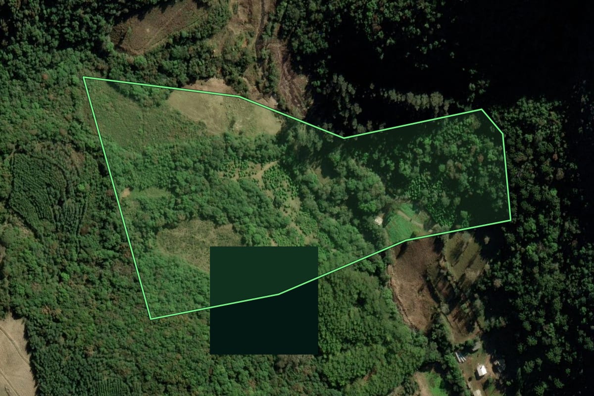 Imagem de satélite do imóvel rural em Itapuca (RS), com o contorno declarado no CAR desenhado por cima.