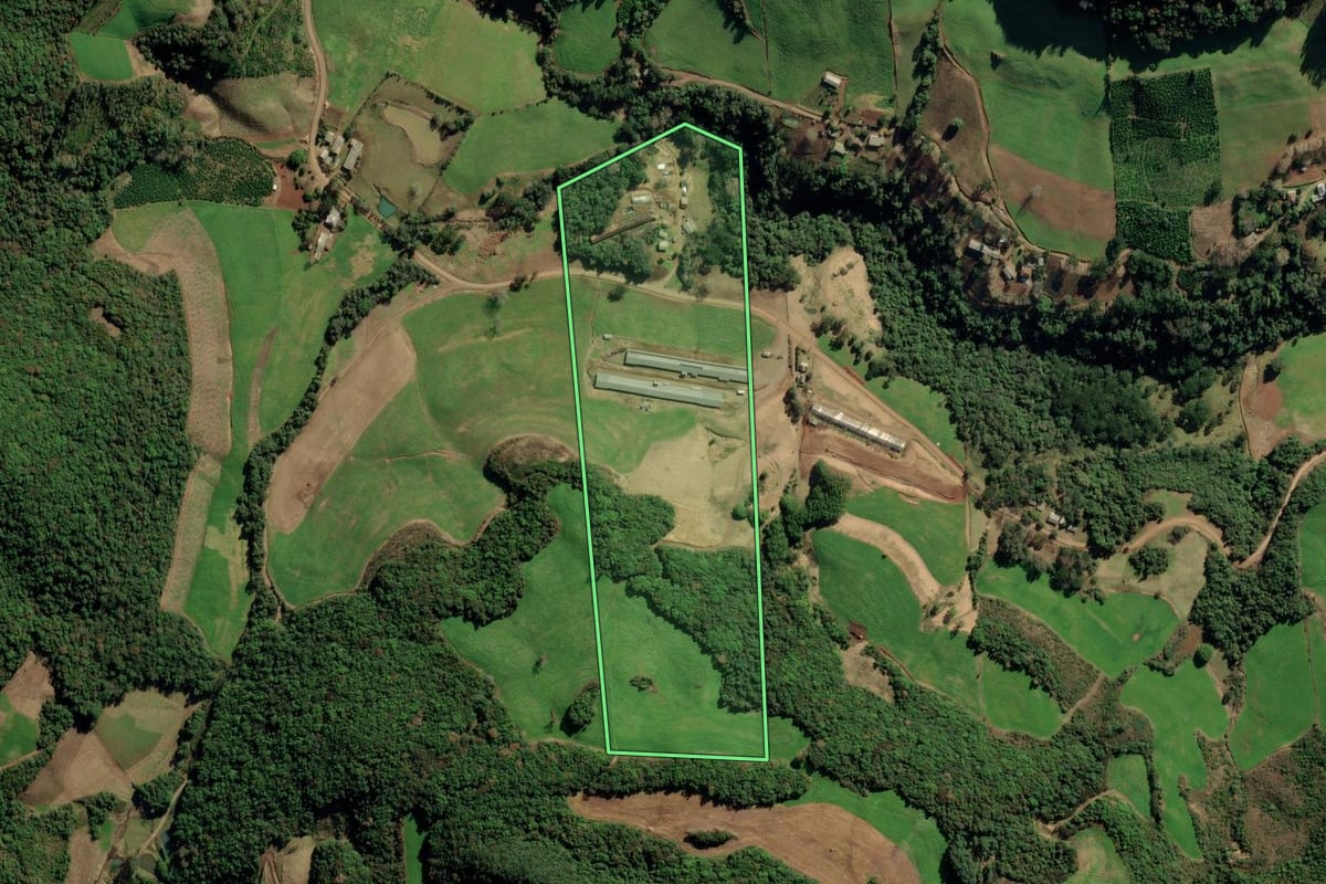 Imagem de satélite do imóvel rural em Itapuca (RS), com o contorno declarado no CAR desenhado por cima.