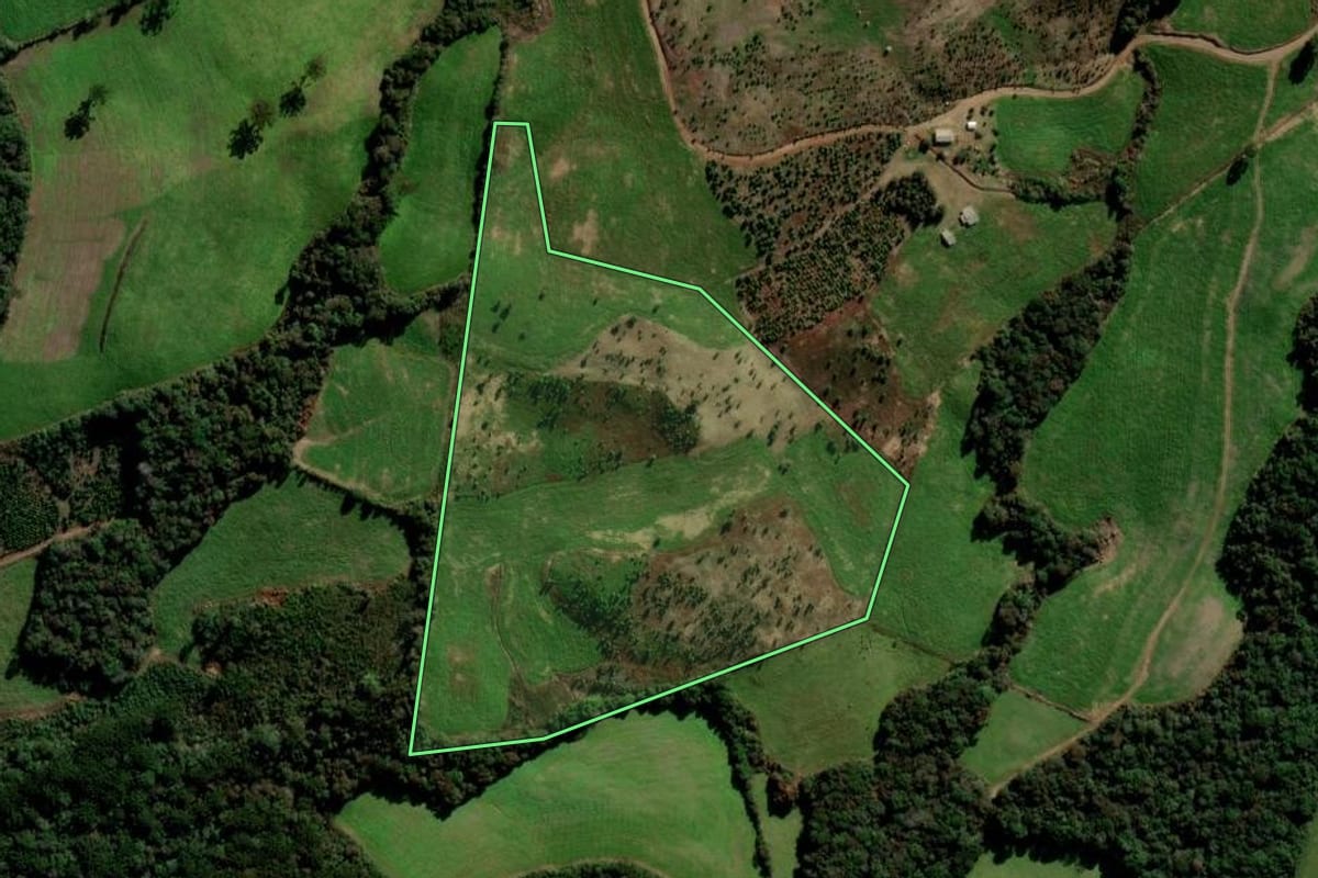 Imagem de satélite do imóvel rural em Itapuca (RS), com o contorno declarado no CAR desenhado por cima.