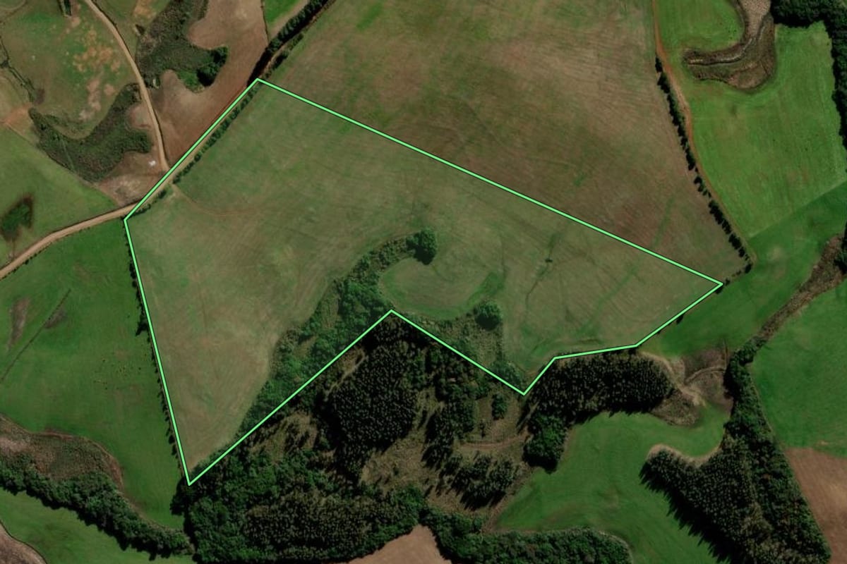 Imagem de satélite do imóvel rural em Itapuca (RS), com o contorno declarado no CAR desenhado por cima.