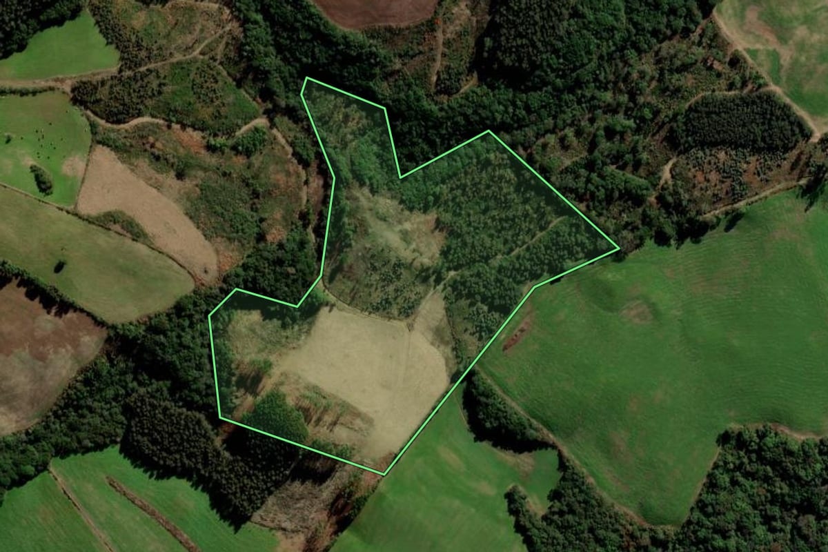 Imagem de satélite do imóvel rural em Itapuca (RS), com o contorno declarado no CAR desenhado por cima.