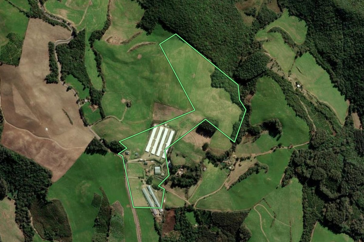 Imagem de satélite do imóvel rural em Itapuca (RS), com o contorno declarado no CAR desenhado por cima.