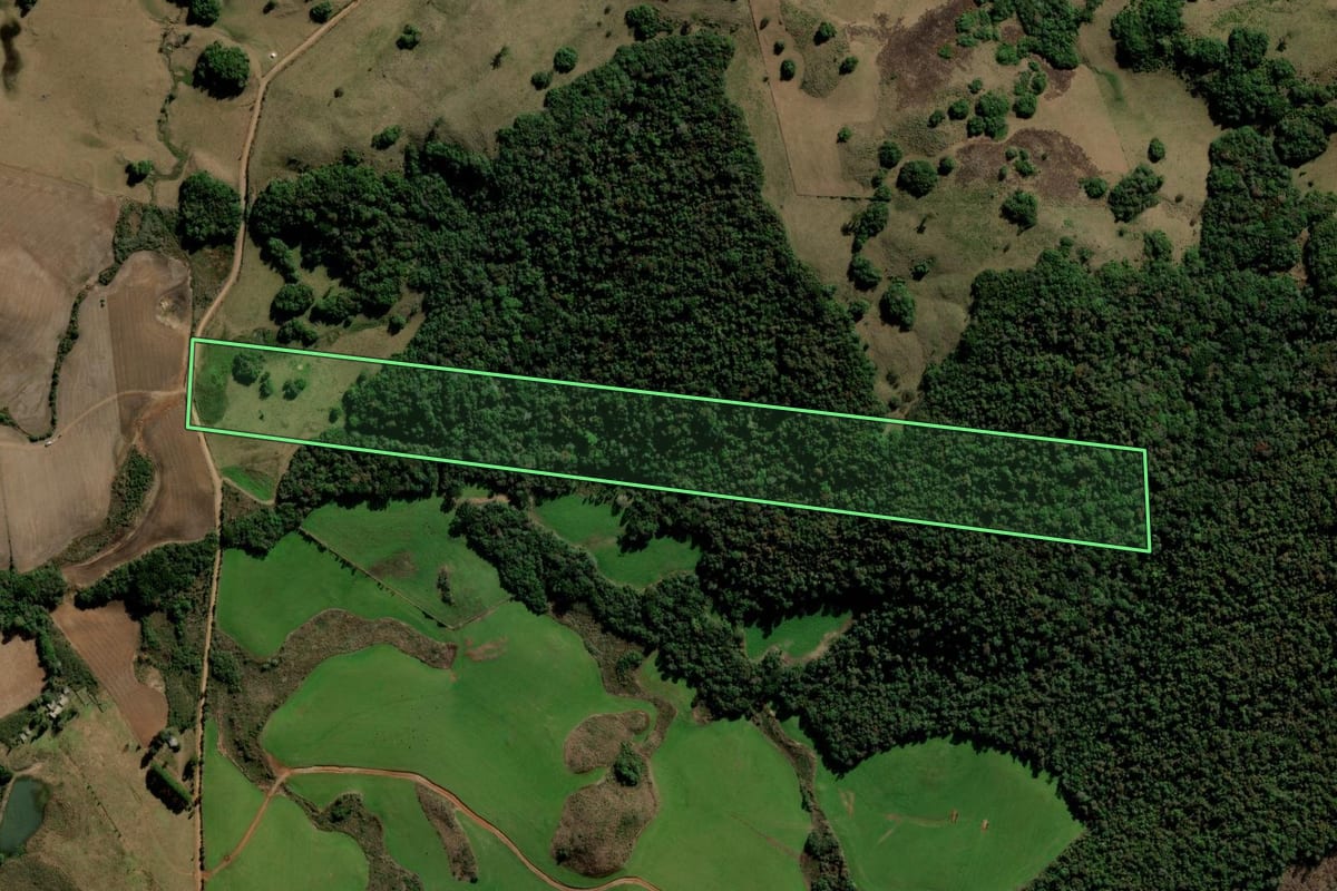 Imagem de satélite do imóvel rural em Itapuca (RS), com o contorno declarado no CAR desenhado por cima.