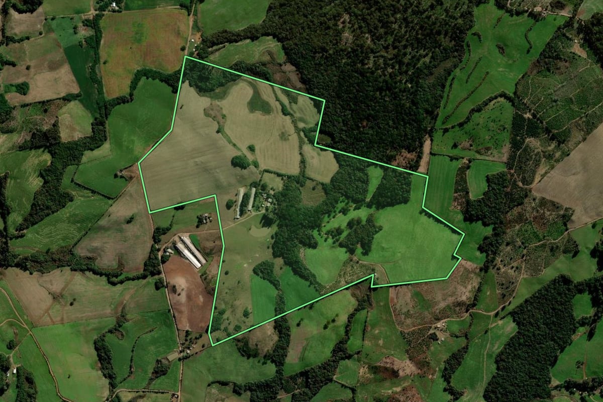 Imagem de satélite do imóvel rural em Itapuca (RS), com o contorno declarado no CAR desenhado por cima.