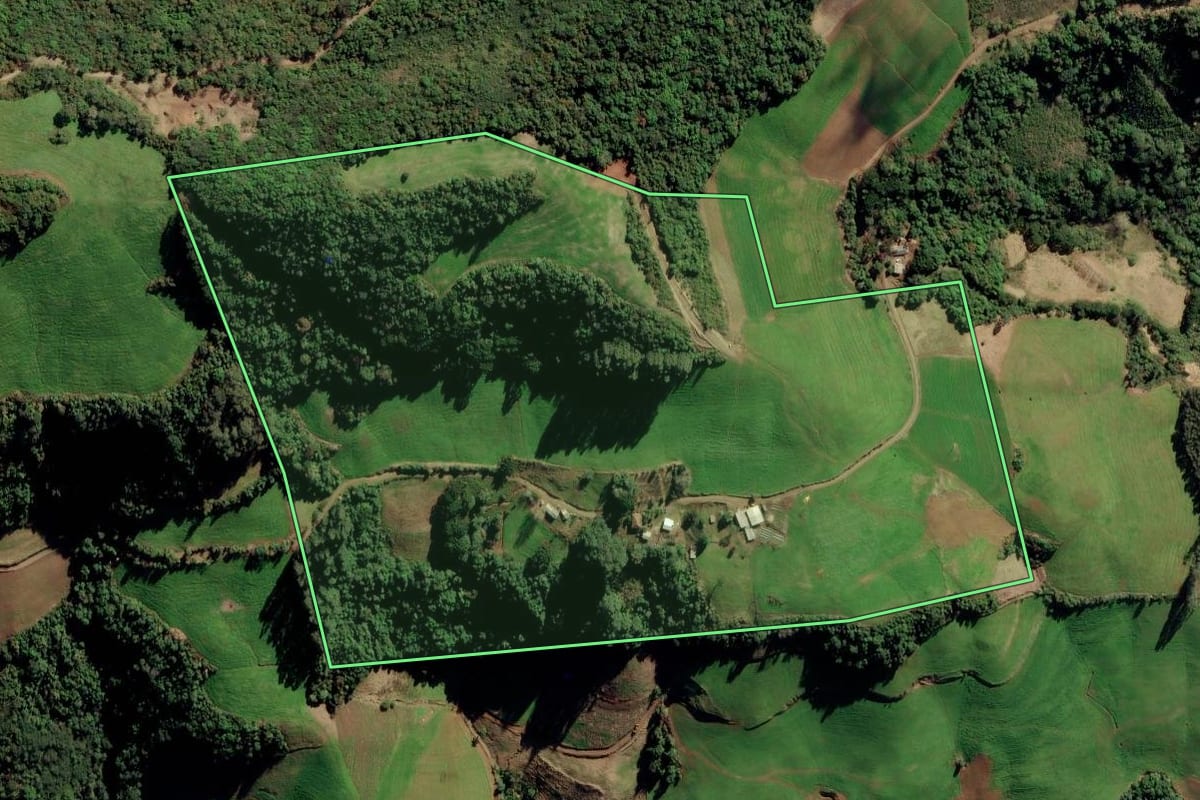 Imagem de satélite do imóvel rural em Itapuca (RS), com o contorno declarado no CAR desenhado por cima.